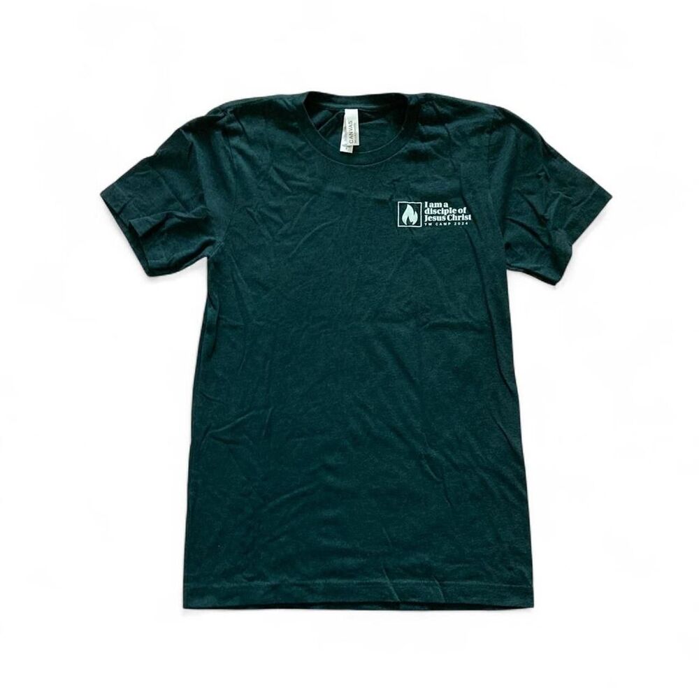 Bella-canvas Men's Green T-shirt